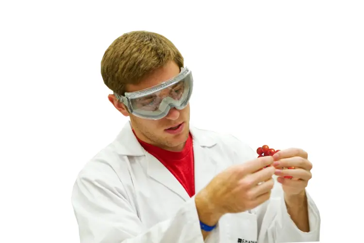 Scientist Examining Sample