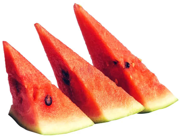 Red Triangular Watermelon Slices