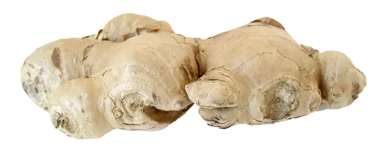 Fresh Ginger Root