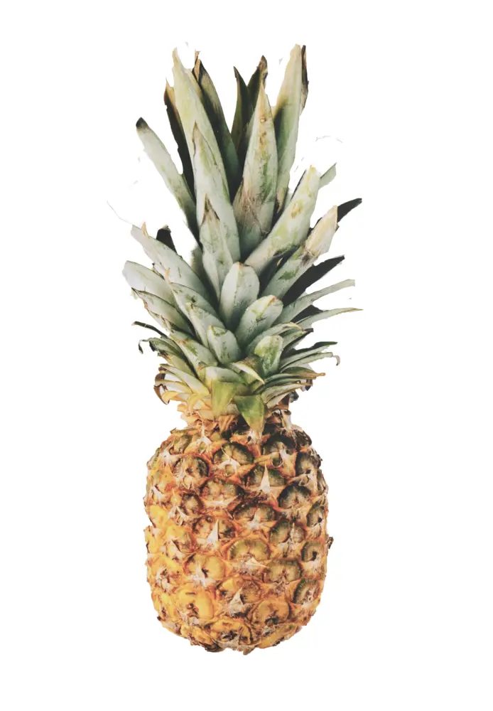 Fresh Pineapple