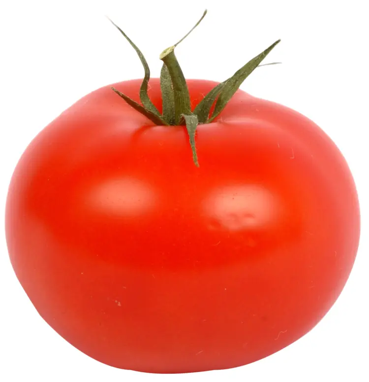 Fresh Red Tomato