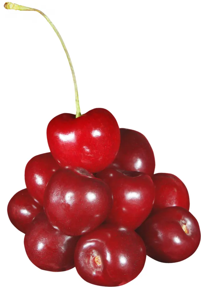 Fresh Red Cherries Pile