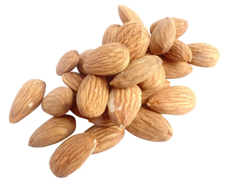 Healthy Almonds for a Nutritious Snack