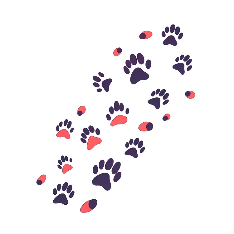 Colorful Paw Prints