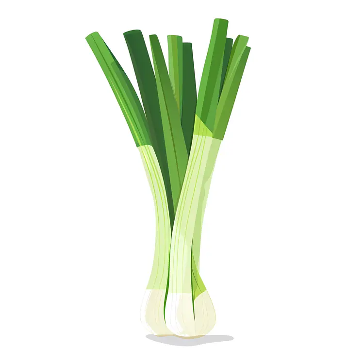 Fresh Green Onions Illustration