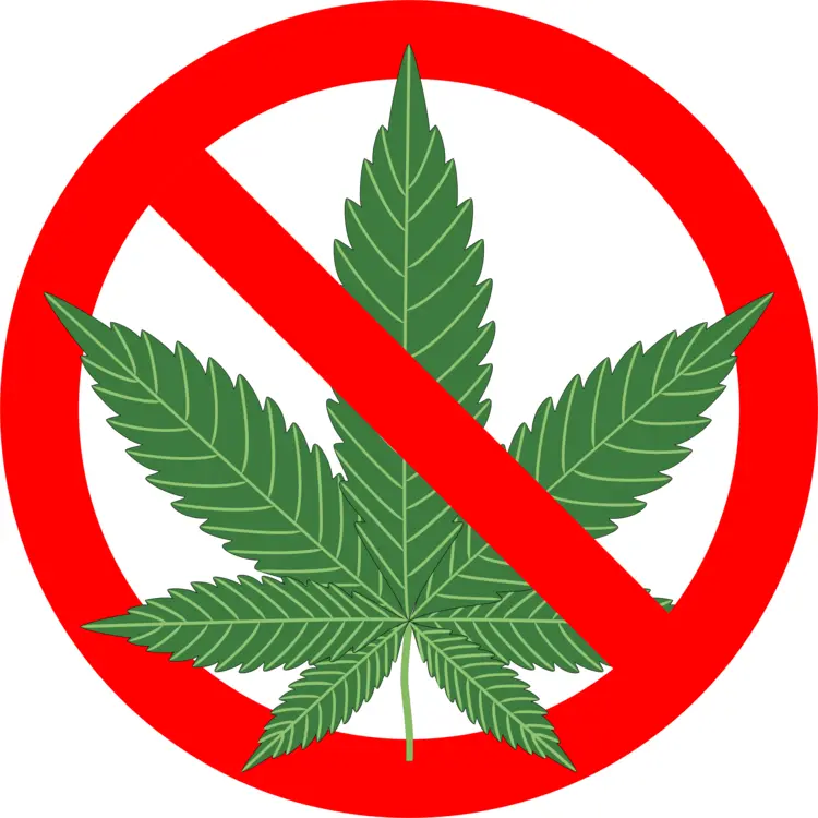 No Cannabis Sign