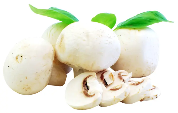 Fresh White Mushrooms