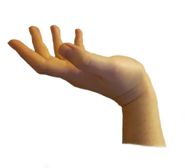 Open Hand Gesture