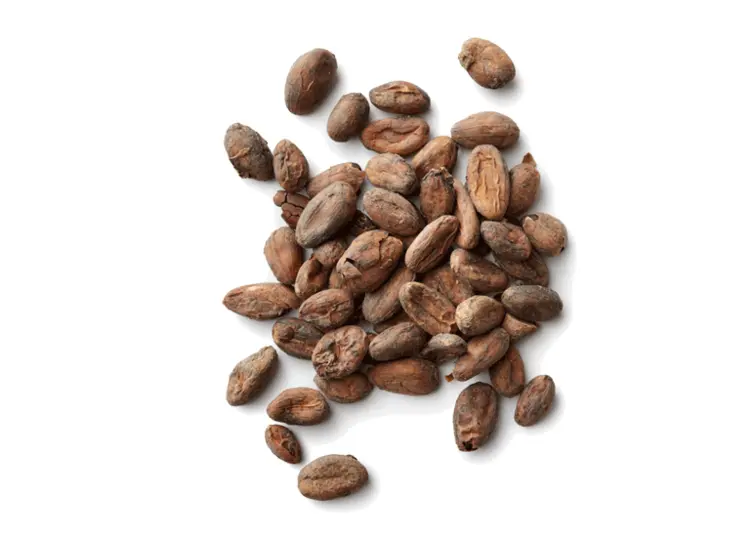 Raw Brown Cocoa Beans