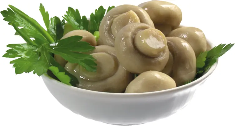 Bowl of Fresh Mushrooms with Parsley
