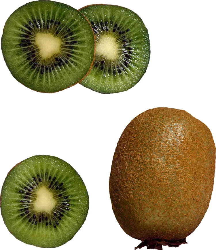 Whole and Sliced Kiwi