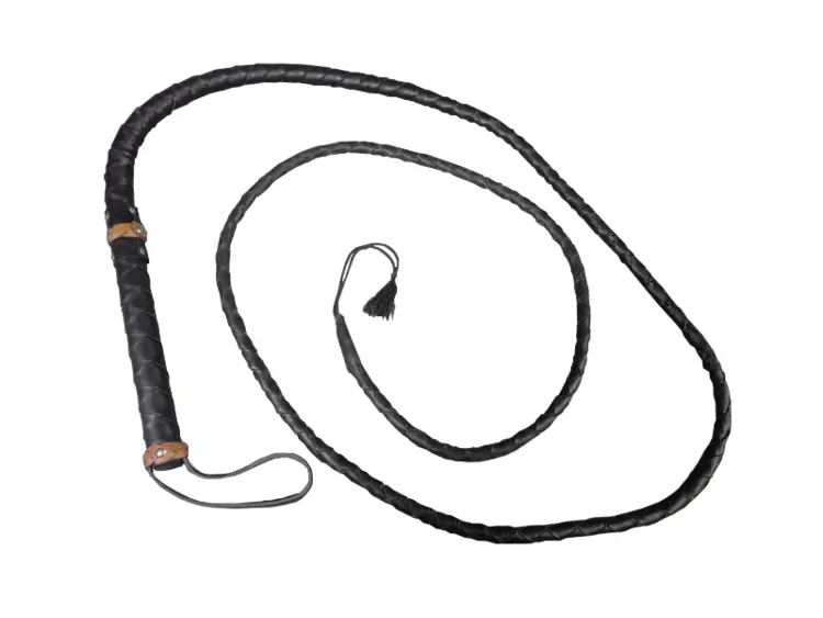 Black Whip with Long Cord