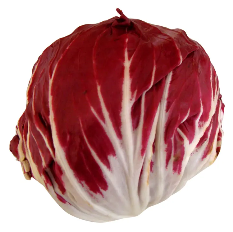Red Leafy Radicchio