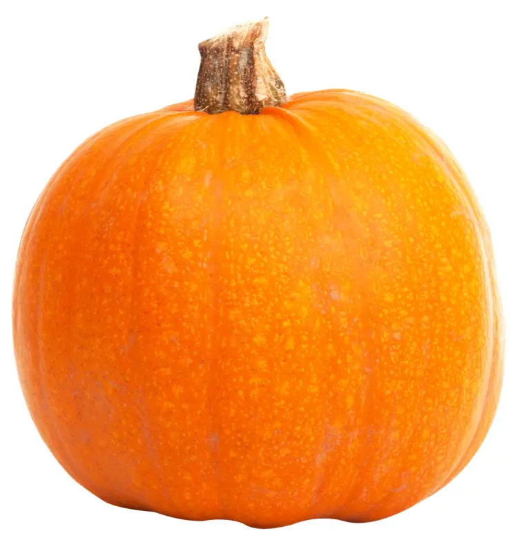 Bright Orange Pumpkin