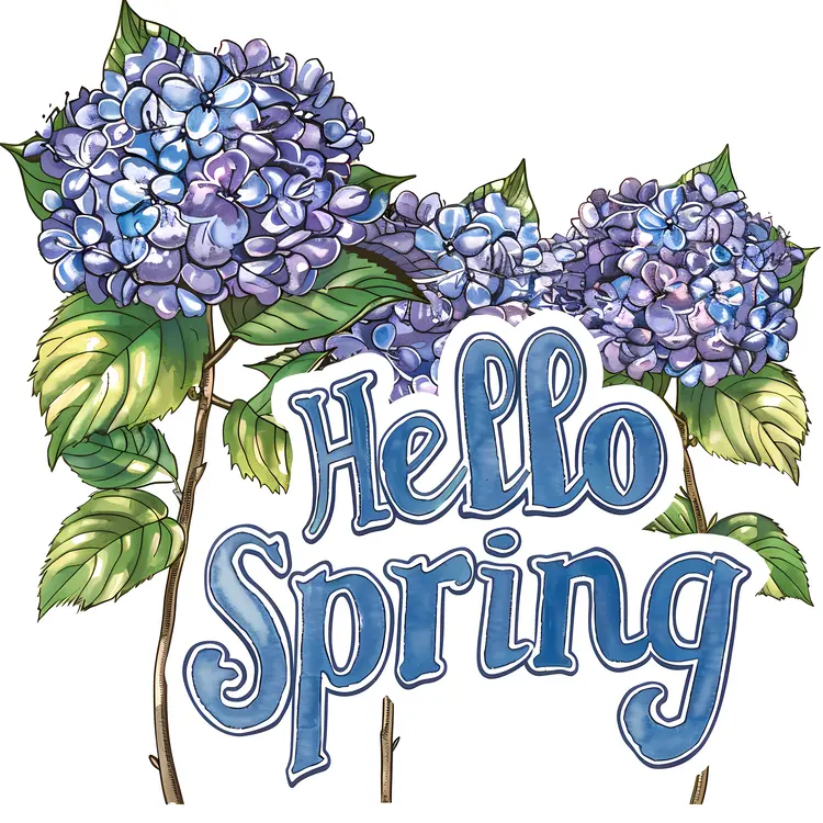 Blue Hydrangeas for Spring