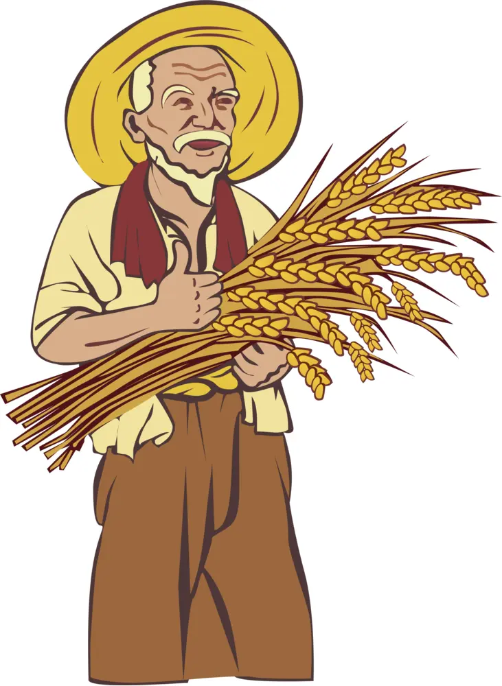 Farmer Holding Wheat Sheaves