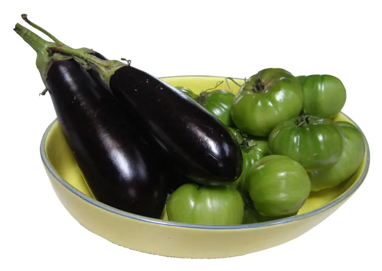Bowl of Eggplant and Tomatoes