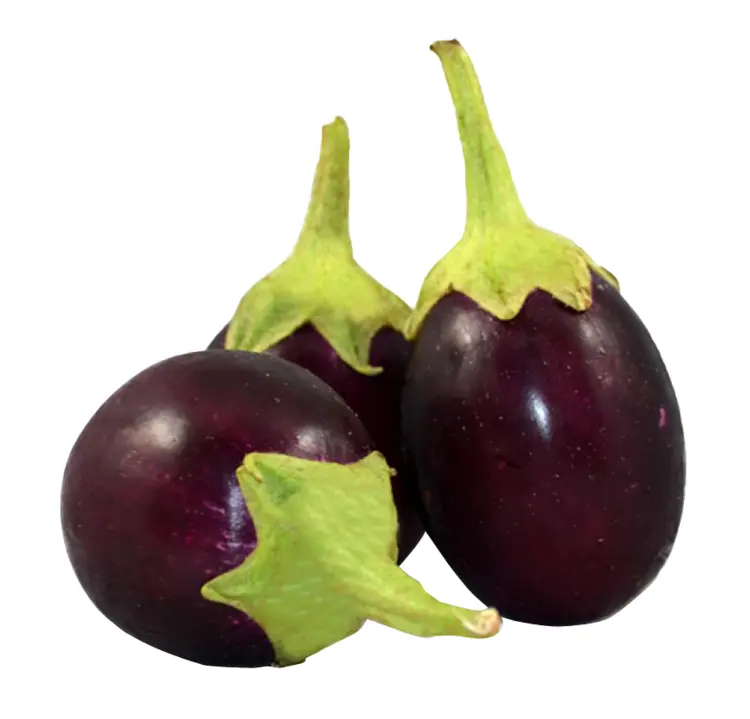 Fresh Purple Eggplants