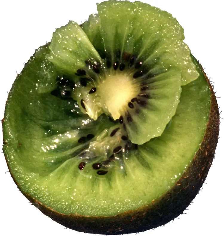 Sliced Green Kiwi Fruit