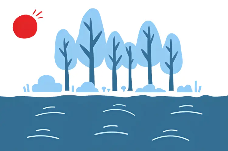 Forest with Trees and River