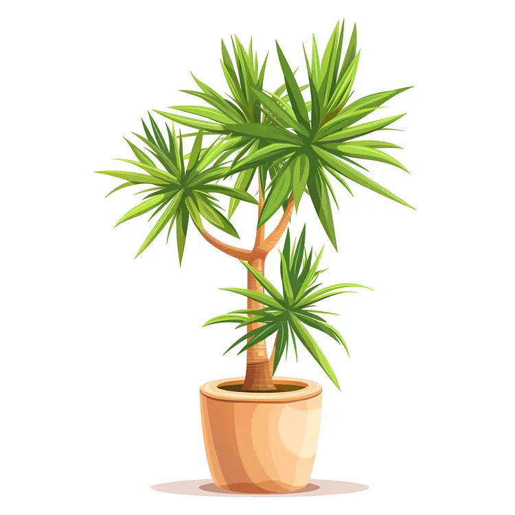 Potted Yucca Tree with Spiky Leaves