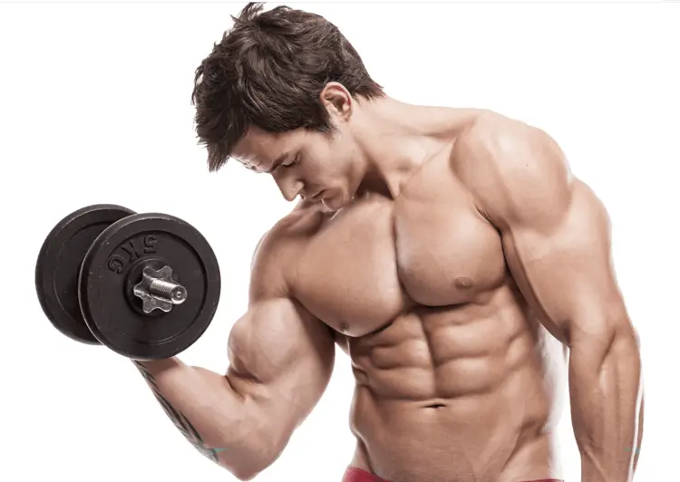 Muscular Man Lifting Dumbbell