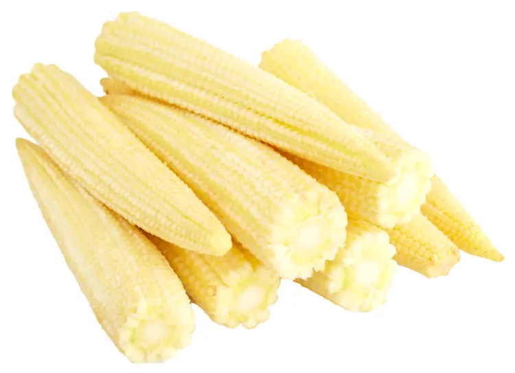 Fresh Baby Corn