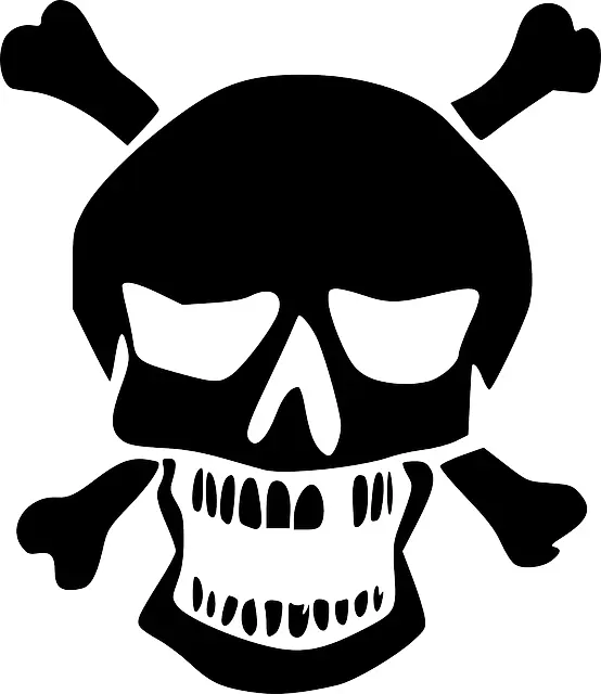 Skull and Crossbones Illustration