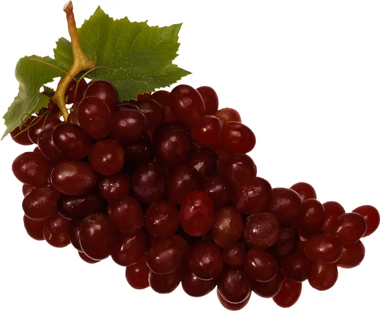Fresh Red Grapes with Leaf