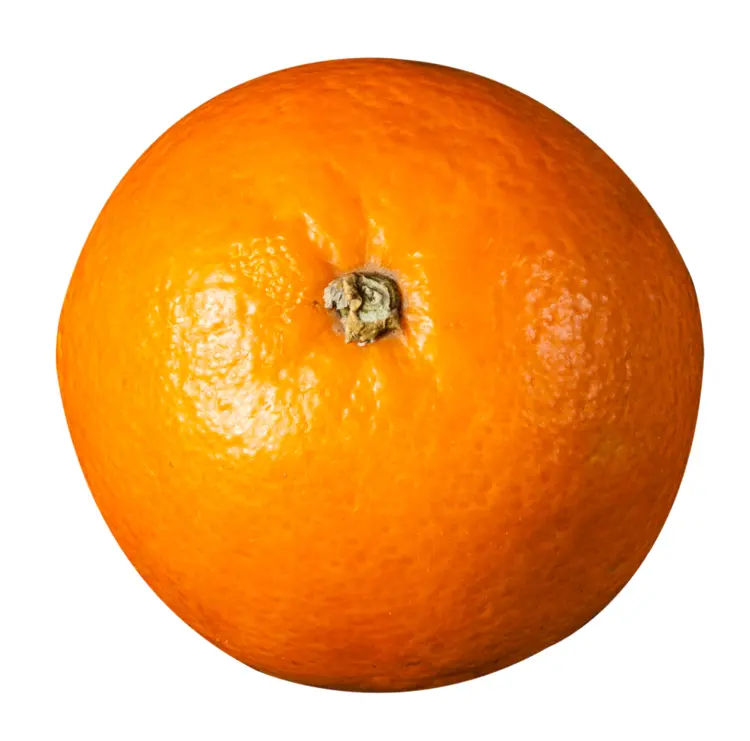 Juicy Orange Fruit