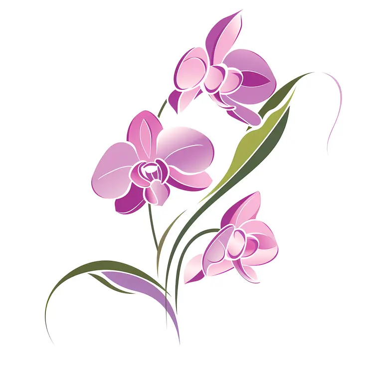 Pink Orchids with Green Leaves