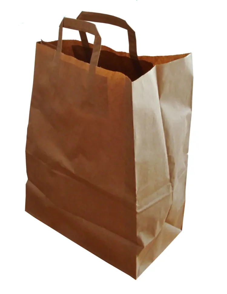 Brown Paper Bag with Handle