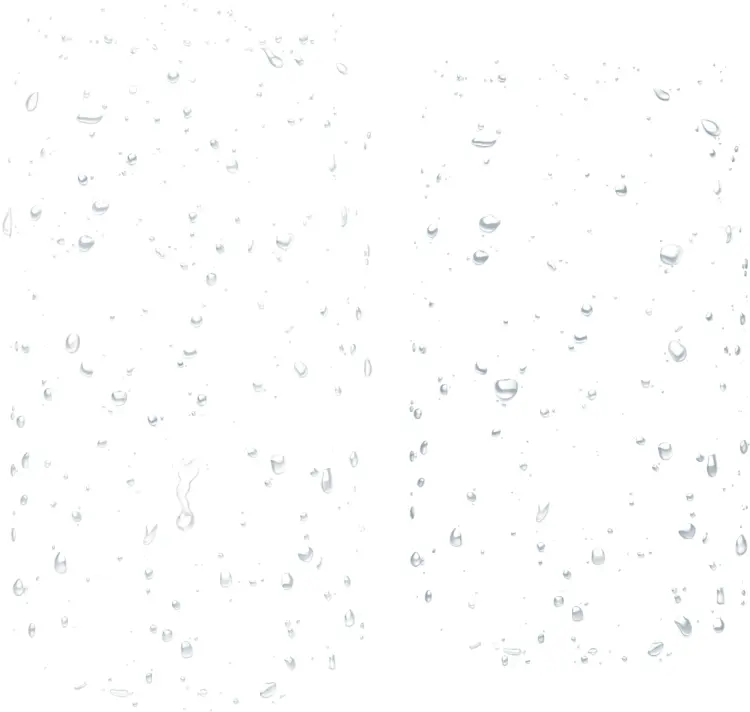 Scattered Water Droplets on a Clear Background