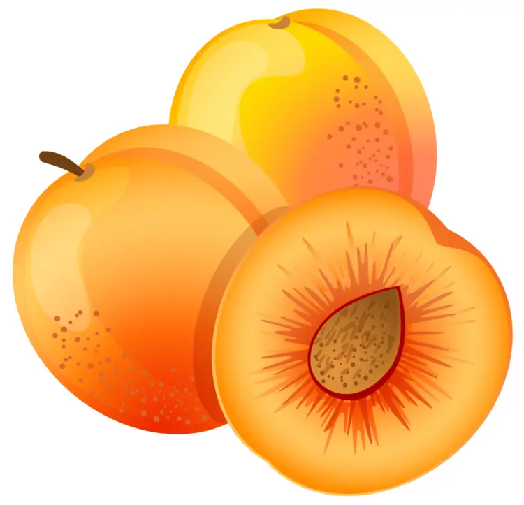 Whole and Half Orange Peaches Illustration