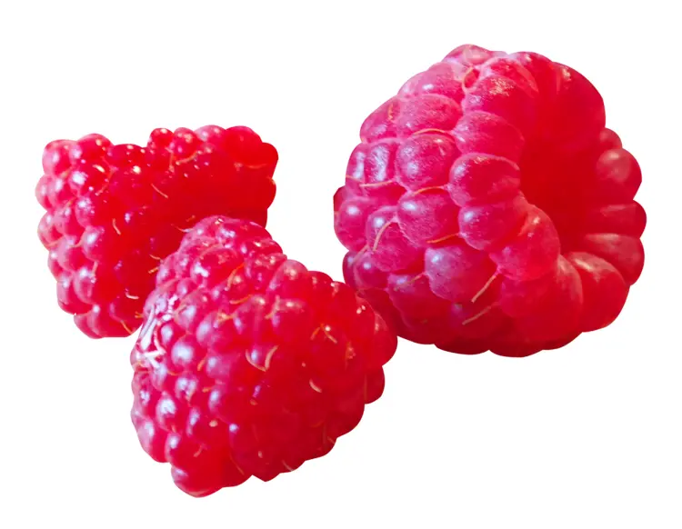 Fresh Raspberries