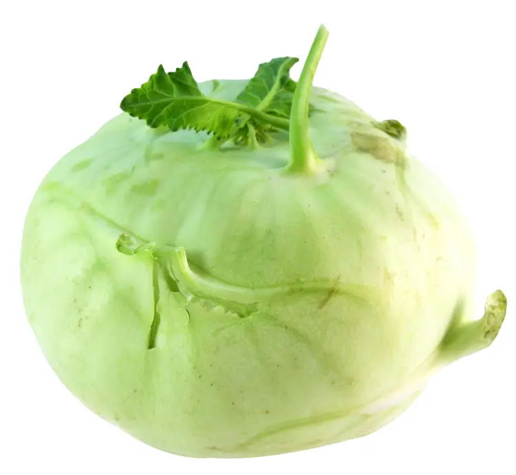 Fresh Green Kohlrabi Vegetable