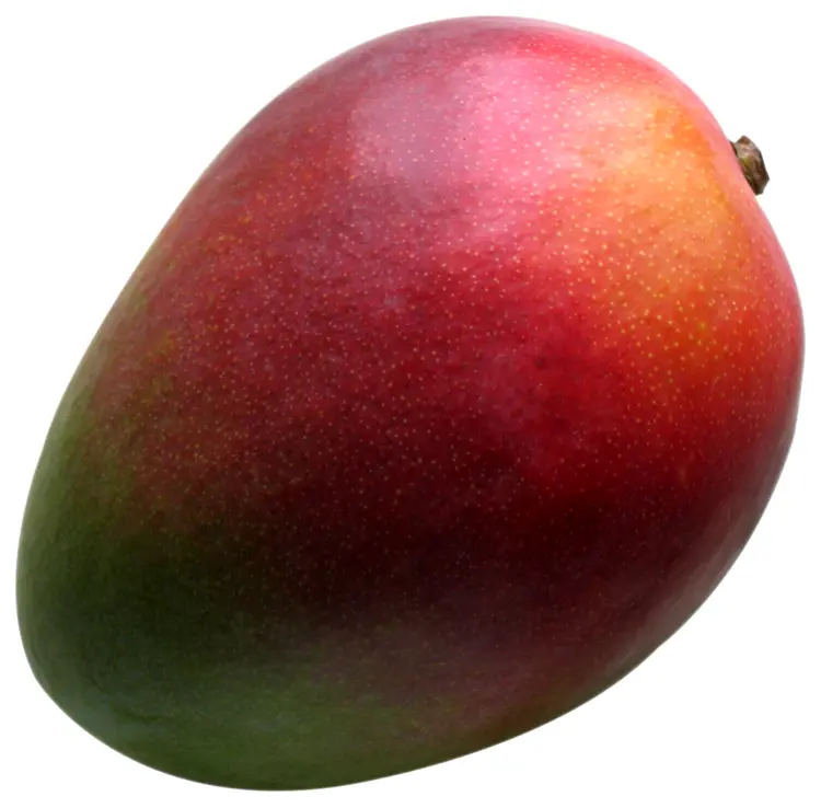 Fresh Tropical Mango