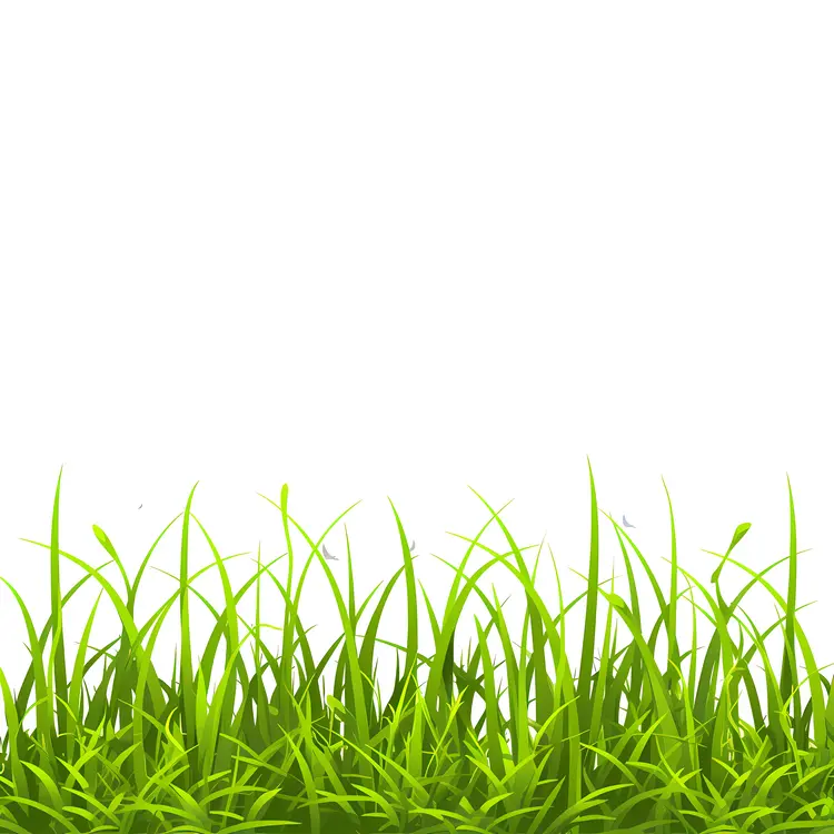 Fresh Green Grass in Spring