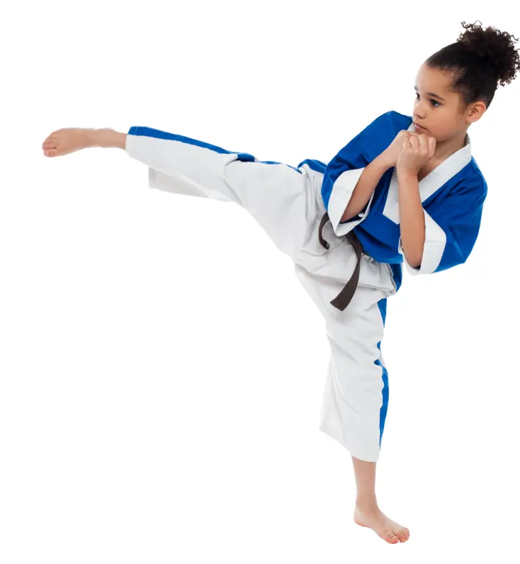 Karate Kid Performing Kick