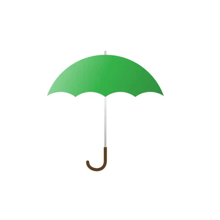 Green Umbrella for Rainy Days