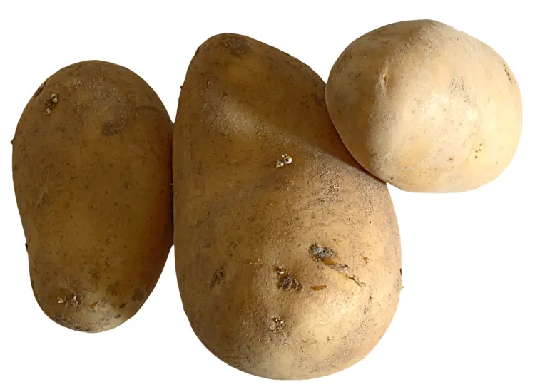 Fresh Brown Potatoes