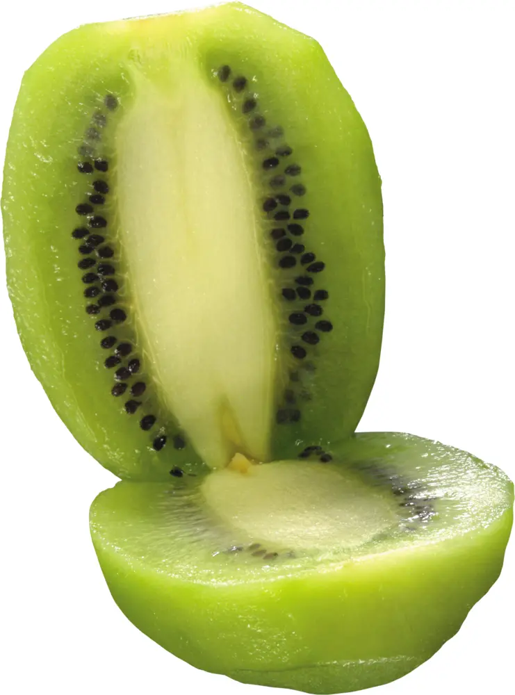 Green Sliced Kiwi with Seeds