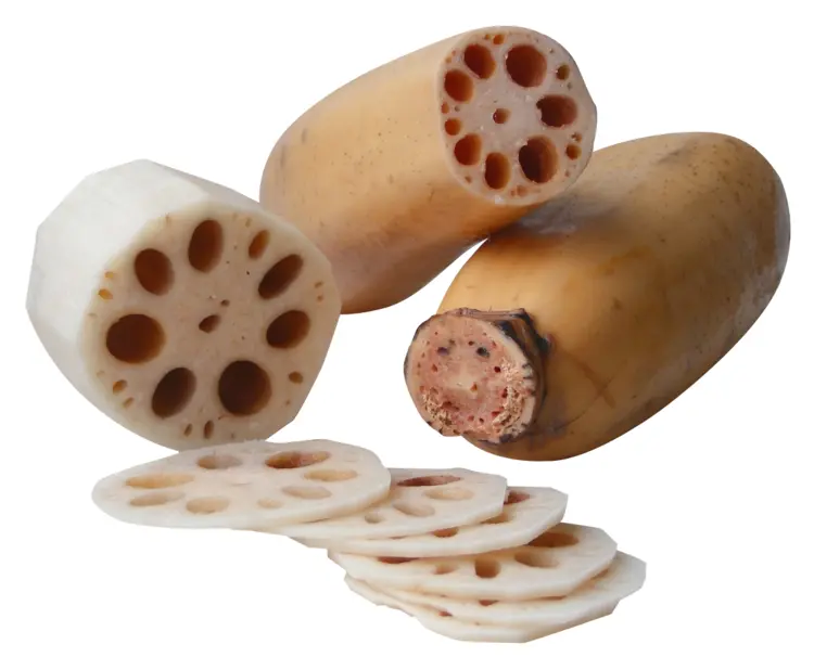 Fresh Sliced Lotus Root