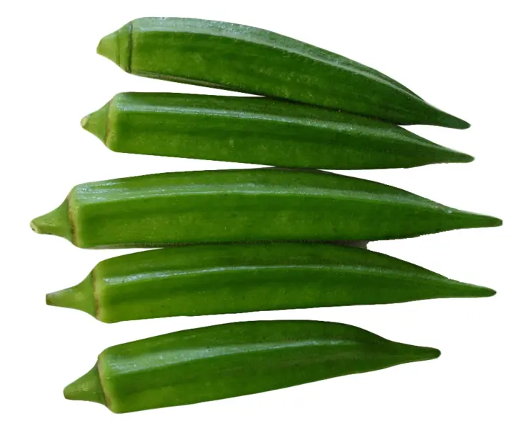 Fresh Green Okra