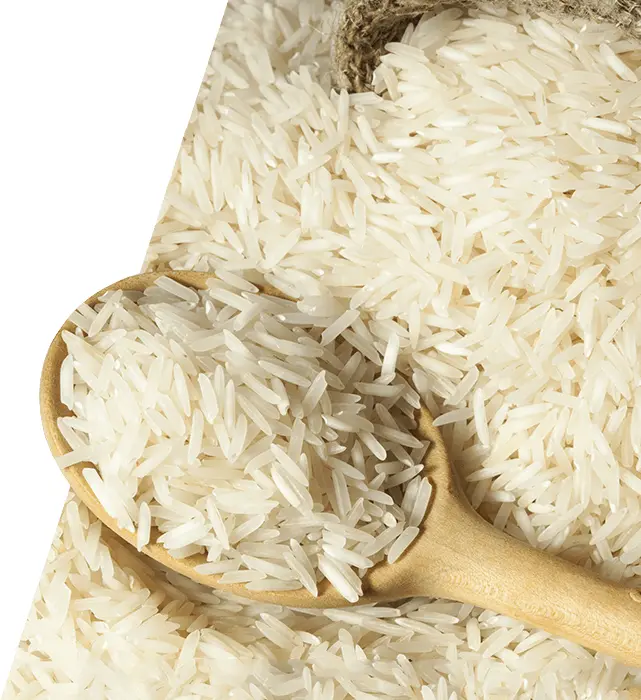 Spoon of Uncooked Basmati Rice
