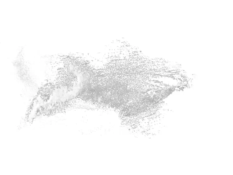 Gray Brush Stroke on Transparent Background