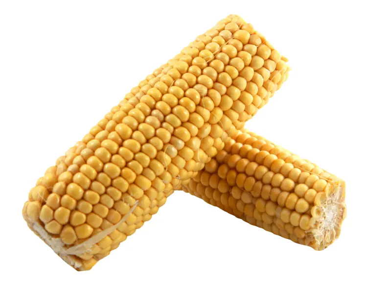 Fresh Yellow Corn