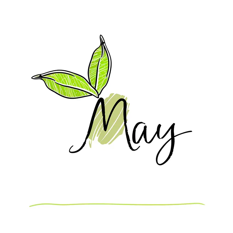 May with Green Leaves