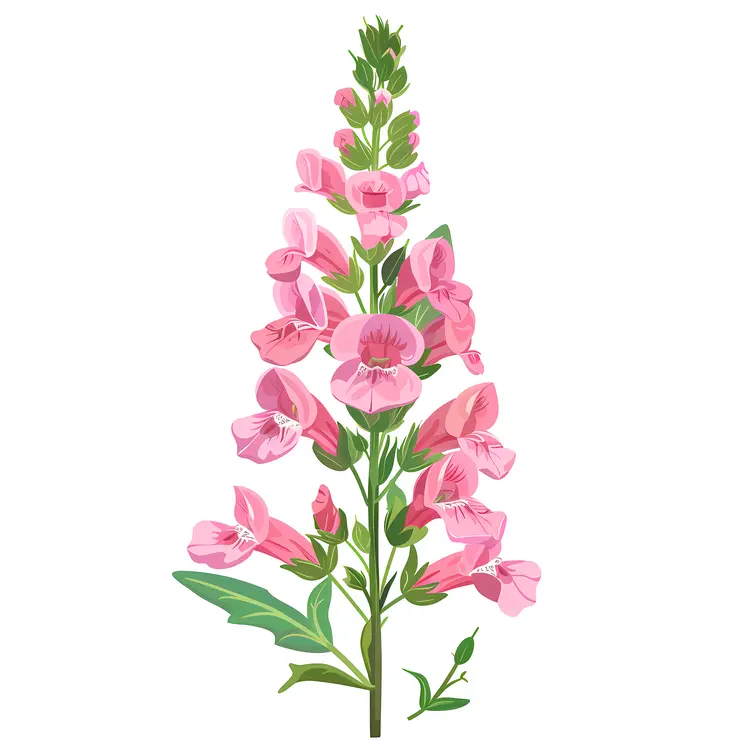 Pink Blooming Flowers Illustration
