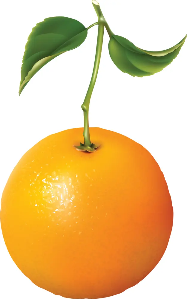 Orange with Leaves